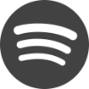 Variations on Acid on Spotify